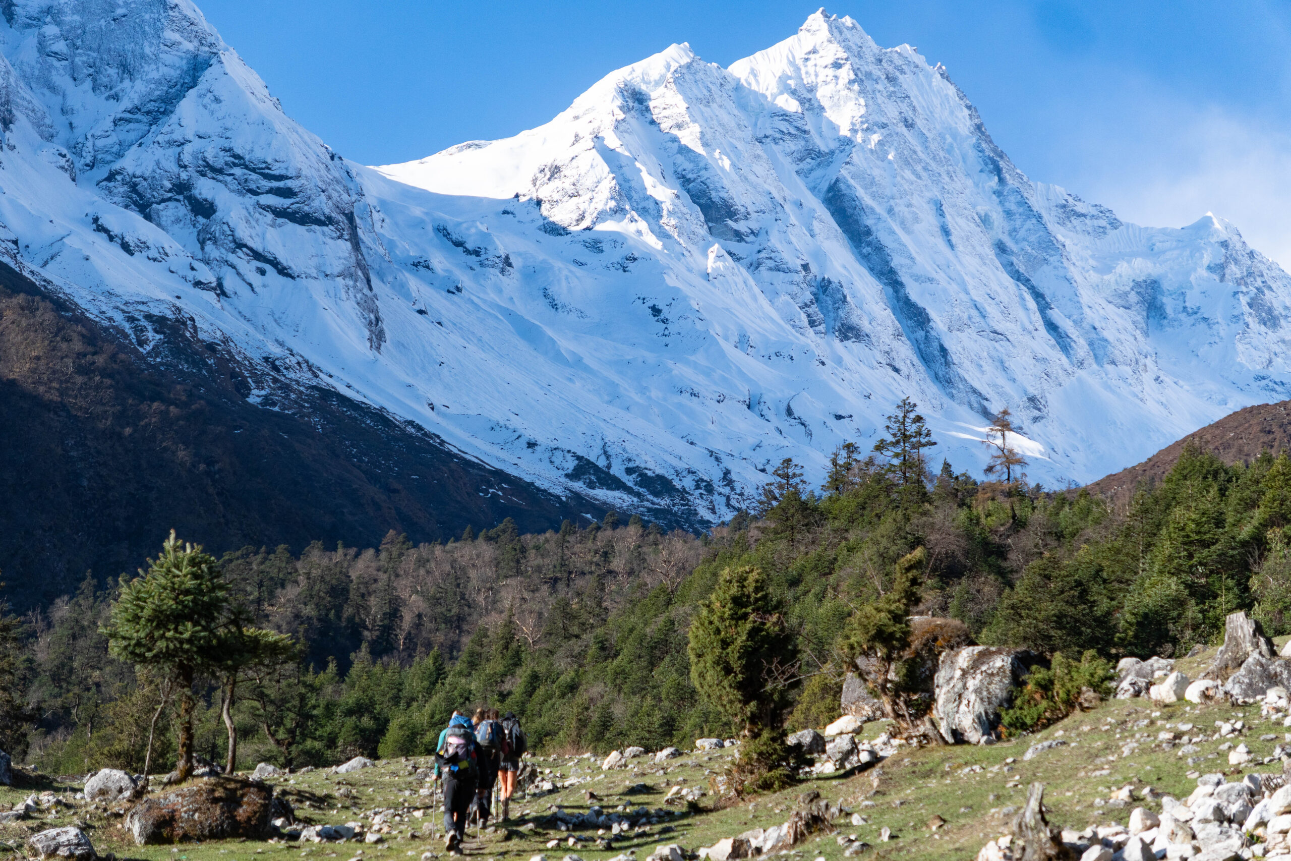Manaslu Circuit Trek | Mokshya Trails