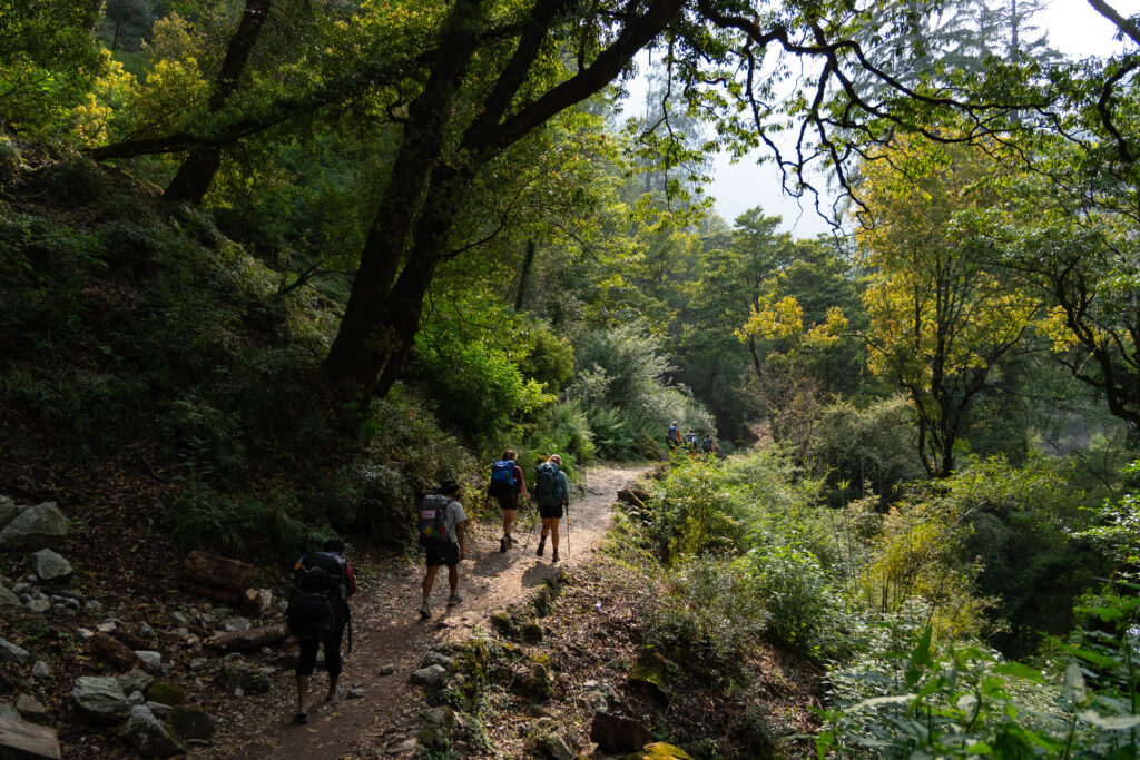 Manaslu Circuit Trek | Mokshya Trails