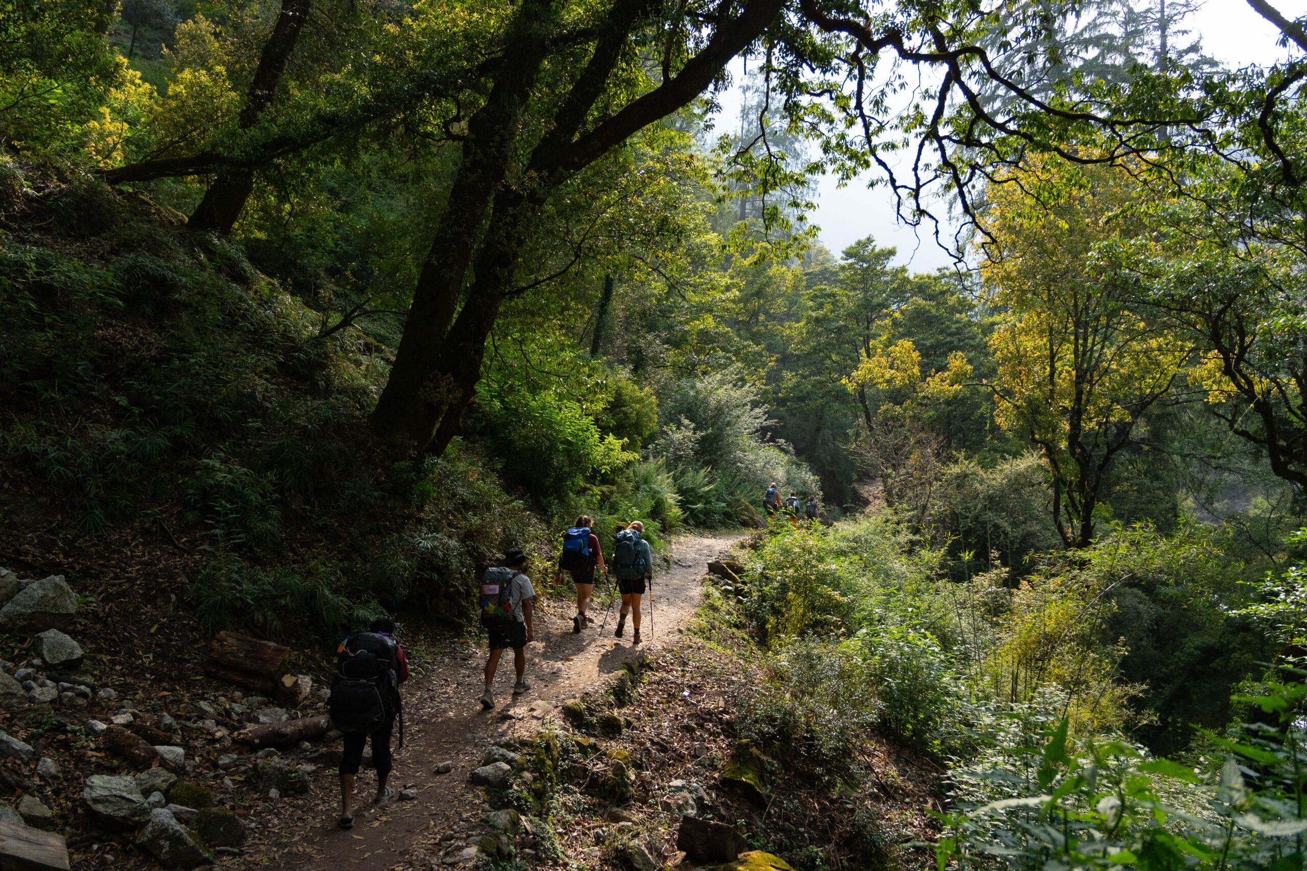 Manaslu Circuit Trek